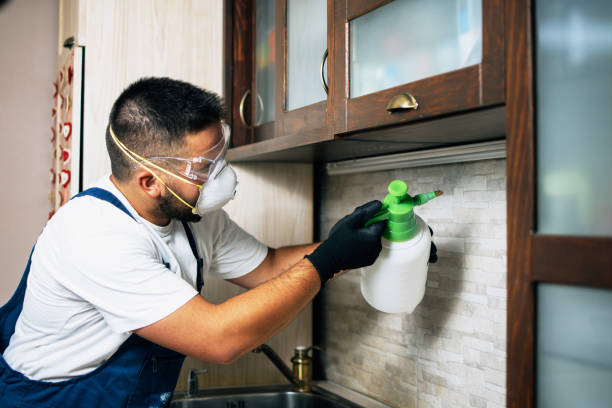 Best Affordable Exterminators  in USA